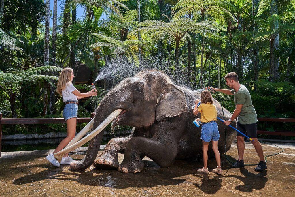 Elephant Safari Park