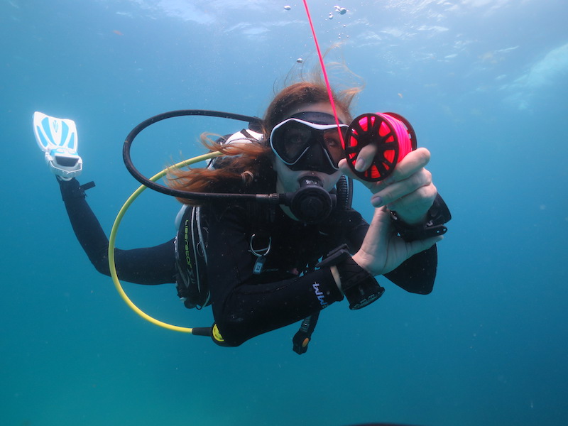 buceo xcalak méxico
