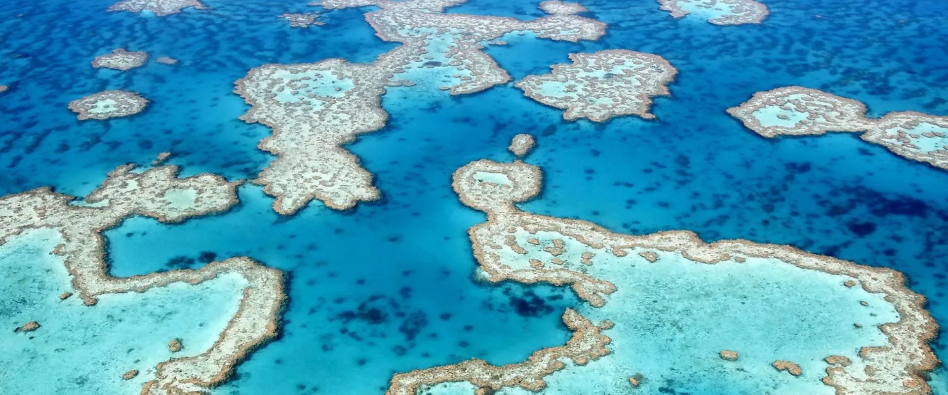 La Gran Barrera de Coral
