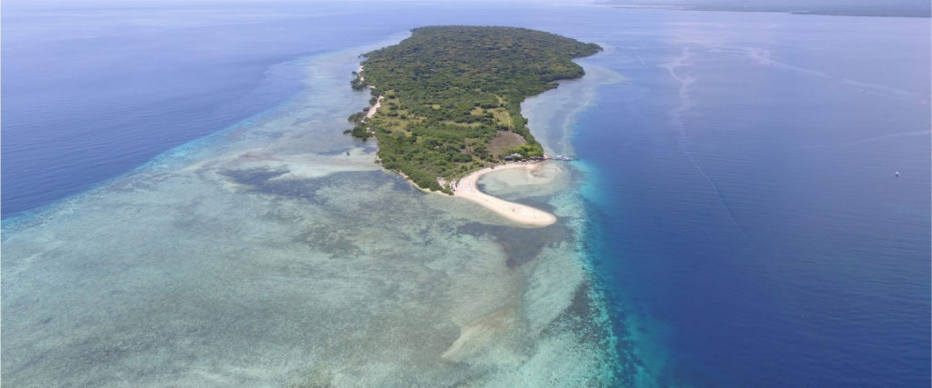 Menjangan y Pemuteran